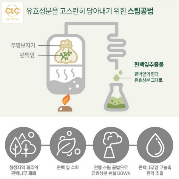 Tinh Chất Phục Hồi Khỏe Da Chiết Xuất Từ Tinh Dầu Lá Bách Xanh Đảo Dr.Pepti Jeju Pyunabek Leaf Essence 150ml