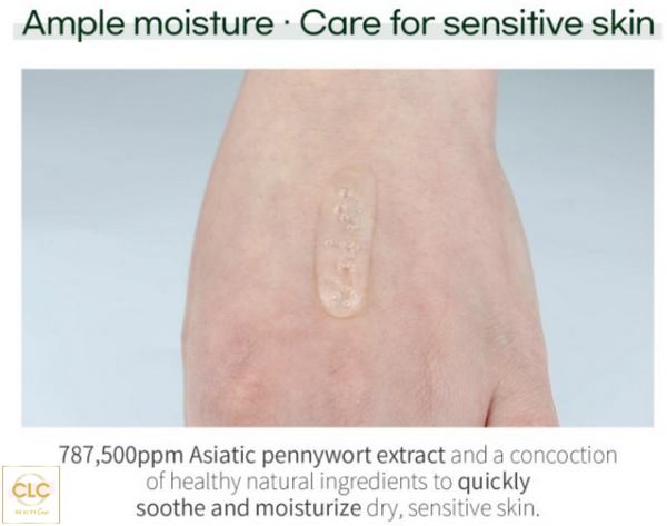 Bộ sản phẩm Wellderma Treatment Repair Ampoule Serum Cica gồm: Serum Cica và thanh lăn Roller