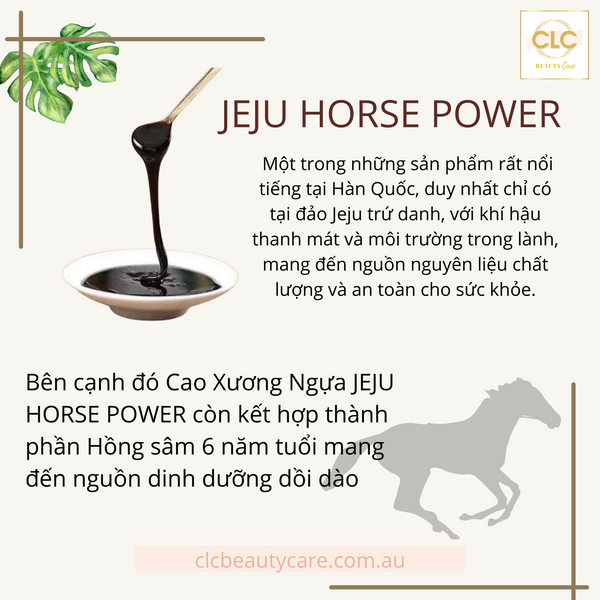 Cao xương Ngựa Jeju Horse Power 240g
